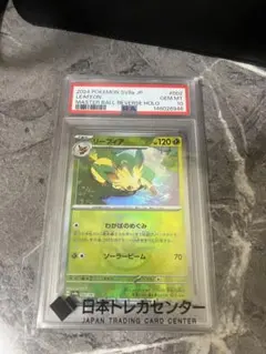 2026年最新】リーフィア マスターボール psa10の人気アイテム - メルカリ