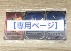 【専用ページ】