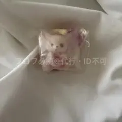 シルバニアファミリー フェネックの赤ちゃん