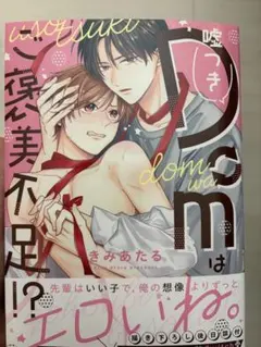 嘘つきDomはご褒美不足!?/きみあたる　※応募券なし