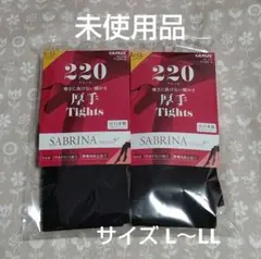 GUNZE タイツ 220デニール 厚手 サブリナ L～LL 日本製