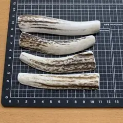 No.2276『鹿角4つ割り3本セット』鹿の角 エゾ鹿 鹿角 蝦夷鹿 エゾシカ