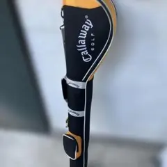 Item thumbnail for item 1fd271f2-0e97-45b9-bb69-d2e9f867c22f