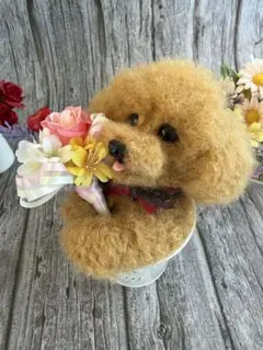 トイプードル編みぐるみ【伏せポーズ】犬 淡いアプリコット（耳 鼻は