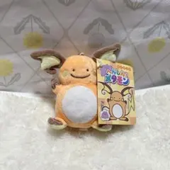 へんしんメタモン ライチュウ タグ付き
