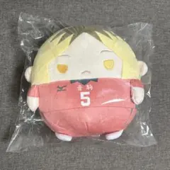 ハイキュー ぬいくじ くじメイト C賞 孤爪研磨