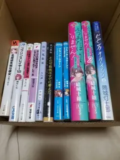 ふつおたはいりません　他　ライトノベル　小説　詰め合わせ　11冊セット