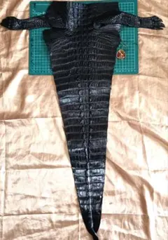 Item thumbnail for item 9f8b3519-92e4-4dea-95d7-e1368950e50f