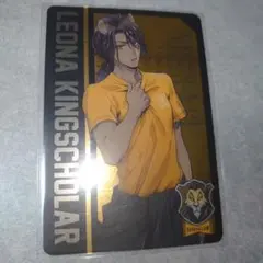 ツイステ レオナ 運動着 メタルカード メタカ 飛行術