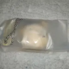 Item thumbnail for item 45d61ce2-498f-4301-9a5a-187e739d503f