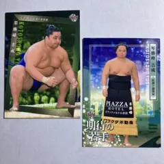 Item thumbnail for item e39a4cc5-8e22-49e8-81bc-bb8c6cabd9a1