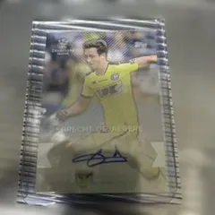 Item thumbnail for item 8017591d-456b-4911-9116-3e0b0d6e8891