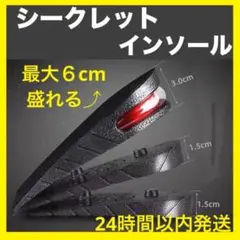 新品 シークレットインソール 6㎝ 3段階 身長UP 美脚 卒業式 中敷き 厚底