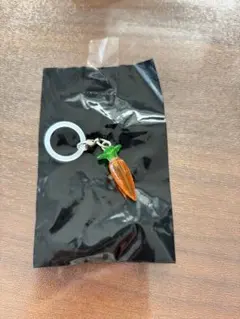 ズートピア　めじるしアクセサリー　にんじん　にんじん型レコーダーペン