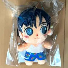 CNBLUE ヨンファ ミニヨン ぬいぐるみ　ソロコン2025