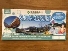 夏休みに！ 東京サマーランド 株主優待券 ご招待券 2枚セット プール