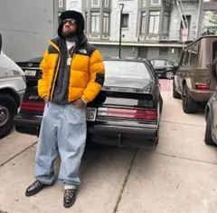 THE NORTH FACE NUPTSE SUMMIT ヌプシ サミット　美品