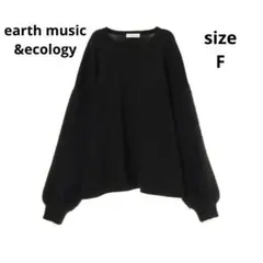 アースミュージックアンドエコロジー/袖シャギー切替えプルオーバーニット洗える