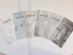 5week+SAVING/バインダー貯金/A6/両面マットラミ【韓国風】