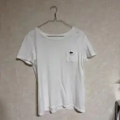 LACOSTE 白Tシャツ 36