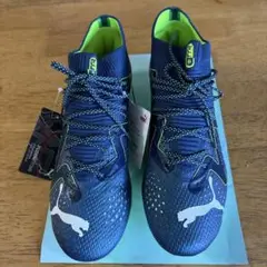 PUMA フューチャー アルティメット HG/AG 25.0 CM