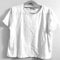 Item thumbnail for item a35eb045-dbcf-4cf2-96d8-009761be0301