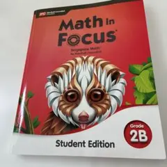 Math in Focus Grade 2B