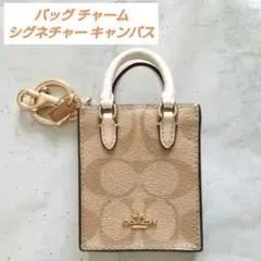 ノース/サウス ミニ トート バッグ チャーム・シグネチャー キャンバス