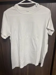 3xl Tシャツ