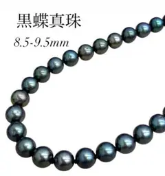 黒蝶真珠 ネックレス