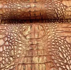 Item thumbnail for item 822dd5da-2468-4a82-9089-951c5a1fe03f