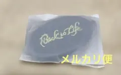 &team エンティーム　Back to Life コインケース　キーリング