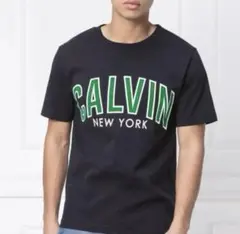 カルバンクラインジーンズ TシャツMサイ ズ