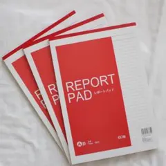 キャンドゥ　レポート用紙　report pad　Ａ４　A罫　６０枚×３冊　赤表紙のサムネイル