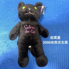 NHK海外ドラマ「サブリナ」猫のセーレムぬいぐるみ - メルカリ