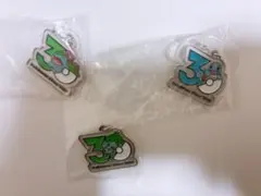 ポケモン　30周年　メタルチャームマスコット