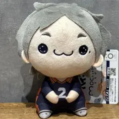 ハイキュー もちぴこぬいぐるみ 菅原孝支