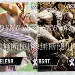 ストリートファイター6 amiiboカード ブースターパック エレナ サガット