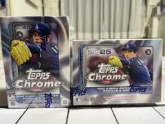 Item thumbnail for item 7bbe6a18-6d4f-41b9-b5a8-146c29fe79a6