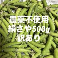 5/17収穫・発送】絹さやえんどう 500g 福島県産 - メルカリ