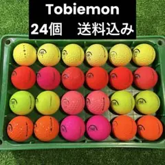 Tobiemon ロストボール　24個のサムネイル