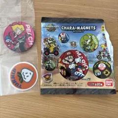 マリオカートワールド マグネッツ