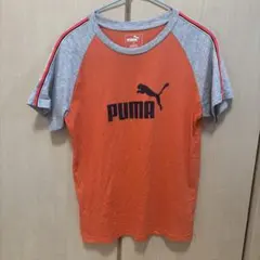 PUMA Tシャツ 160