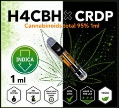H4CBH×CRDP total95% 1ml Og Kush H4CBH×CRDP total95% 1ml Og Kush - メルカリ