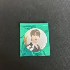 SEVENTEEN WONWOO 缶バッジ