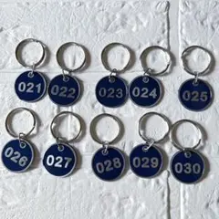 Item thumbnail for item 8d75d7a8-5df7-4274-905f-2721db924c16