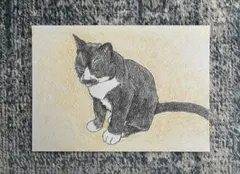 猫の絵 色鉛筆画　手描き原画　2Lサイズ