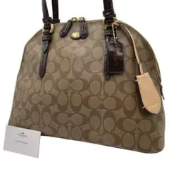 COACH/コーチ F24606 シグネチャー ハンドバッグ PVC