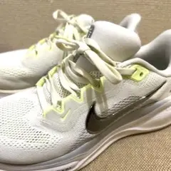 NIKE トレーニングシューズ　23センチ　ペガサス