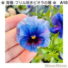 あぼ様 リクエスト 2点 まとめ商品